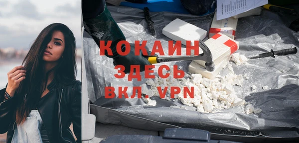 твердый Алзамай