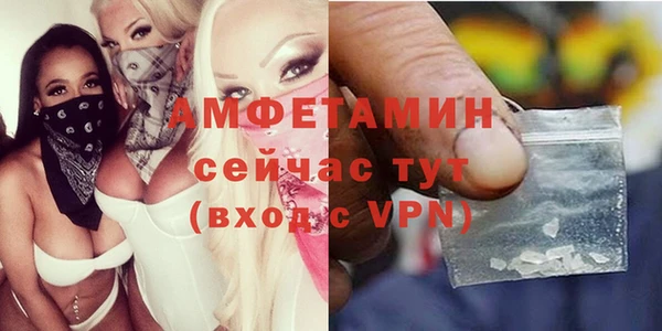 твердый Алзамай
