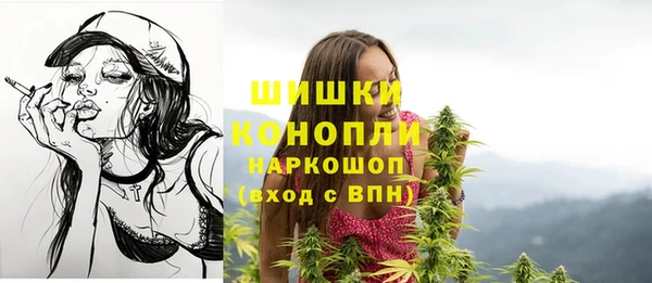 ПСИЛОЦИБИНОВЫЕ ГРИБЫ Алексин