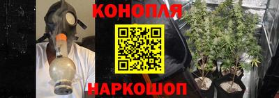 PSILOCYBIN Обнинск