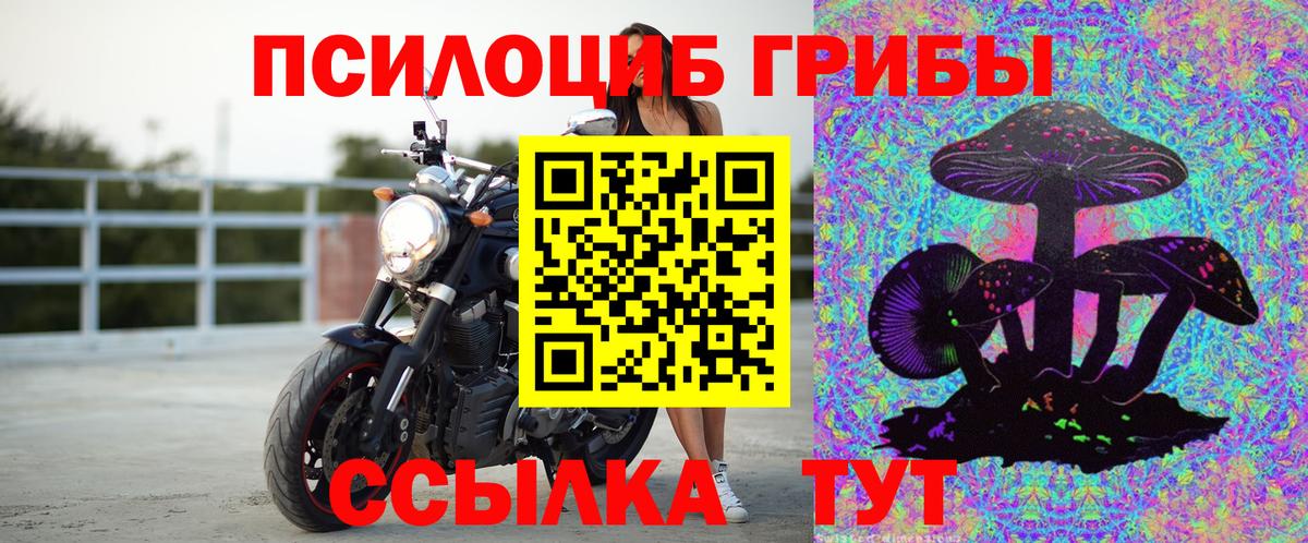 Урай  Галлюциногенные грибы Cubensis  где найти наркотики  Вход с VPN 